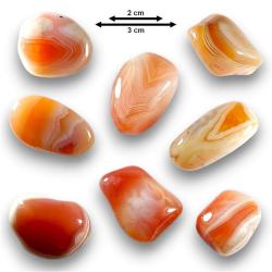 Agate abricot du Botswana - Qualité Supérieure - Pierre roulée - Volume M (moyen)